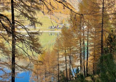 Lago di Vernago: scorcio fra gli alberi
