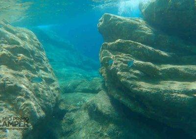 snorkeling isola d'elba