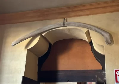 la costola del drago Tarantasio custodita nella sagrestia di Pizzighettone